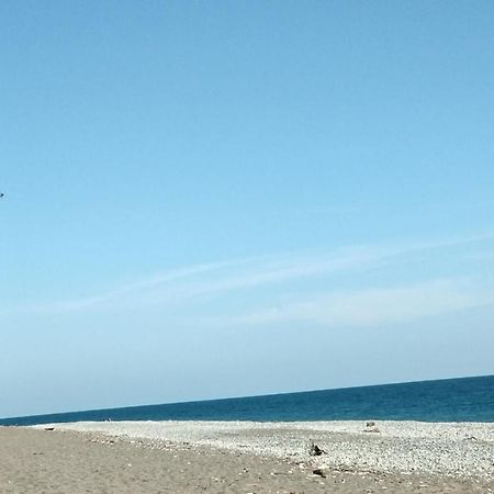 Lukomorye Πιτσούντα Εξωτερικό φωτογραφία
