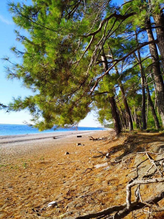 Lukomorye Πιτσούντα Εξωτερικό φωτογραφία